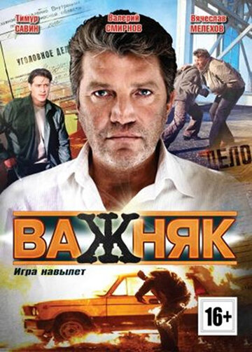 Смотреть Важняк (2011) онлайн в Хдрезка качестве 720p